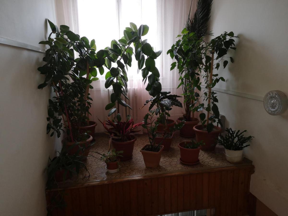 Hotel Biela Labut Michalovce Esterno foto